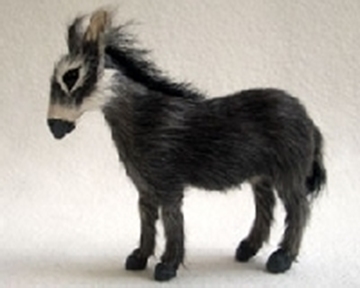 Bild von Esel stehend mini