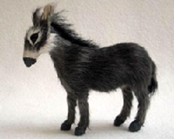 Bild von Esel stehend mini