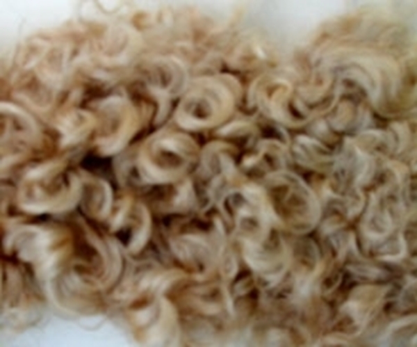 Bild von Fellperücke blond kraus kurz
