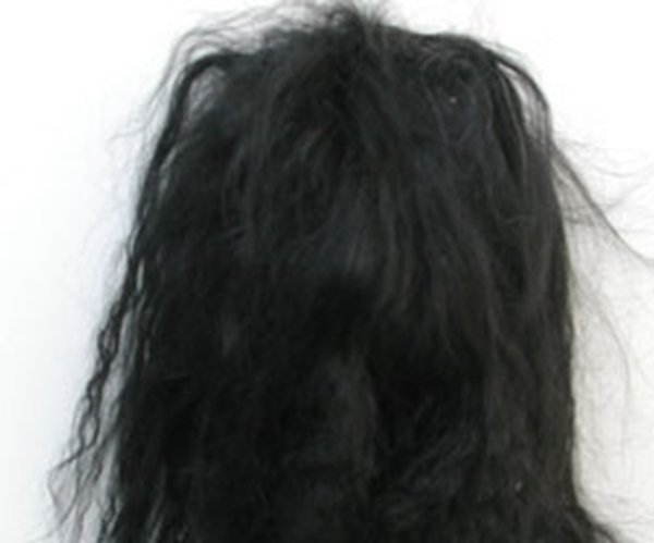 Bild von Fellperücke schwarz