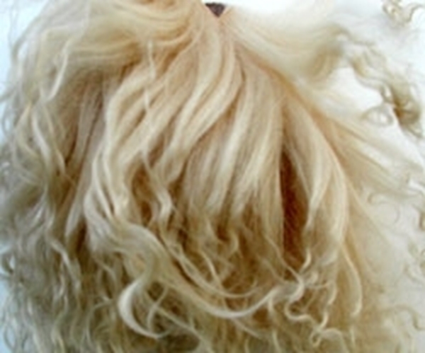 Bild von Fellperücke blond
