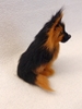 Bild von Schäferhund sitzend