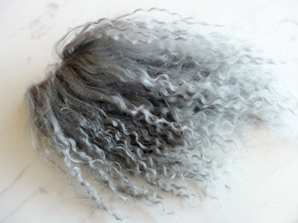 Bild von Tibetlamm grau 3+4