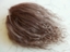 Bild von Tibetlamm braun 3+4