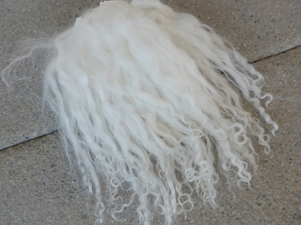 Bild von Tibetlamm weiss Gr.0