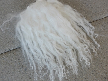 Bild von Tibetlamm weiss 1+2