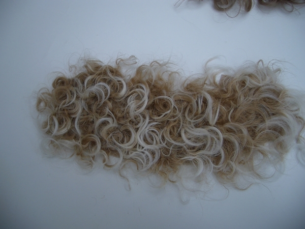 Bild von Perücke kraus c. so. blond/braun 5+6