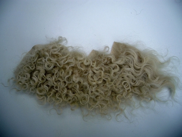 Bild von Perücke kraus blond Gr.0
