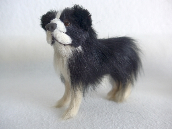 Bild von Hundschwarz/weiss