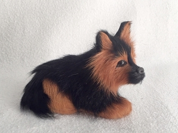 Bild von Schäferhund liegend