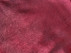 Bild von Königsstoff  rot/schwarz 40x75cm