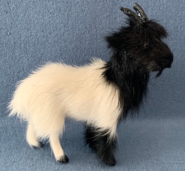 Bild von Ziege stehend schwarz/weiss