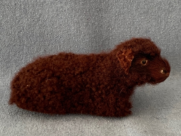 Bild von Schaf liegend braun