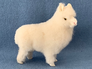 Bild von Schaf stehend  weiss