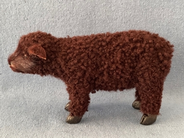 Bild von Schaf stehend  braun