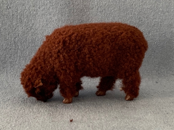 Bild von Schaf fressend  braun