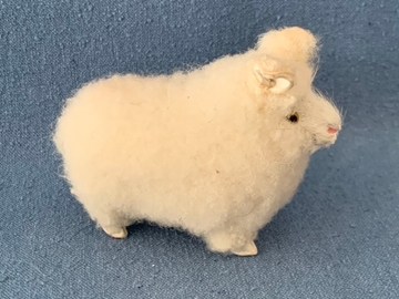 Bild von Schaf klein stehend weiss