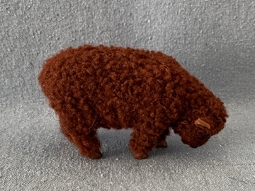 Bild von Schaf klein fressend braun